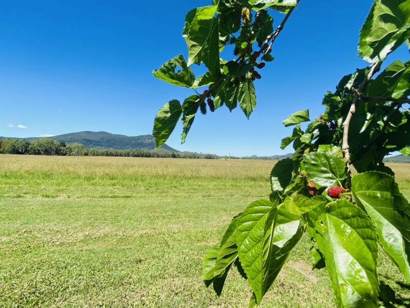 150 Geeberga Station Road, Kuttabul QLD 4741