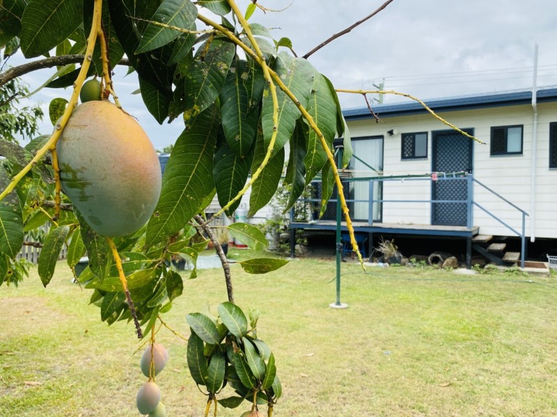 152 Mcintyre Street, Calen QLD 4798