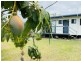 152 Mcintyre Street, Calen QLD 4798