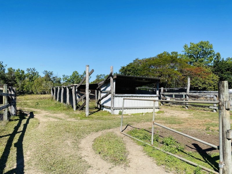 94 Niddoes Gap Road, Kuttabul QLD 4741