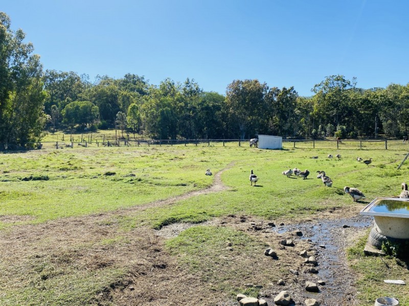 94 Niddoes Gap Road, Kuttabul QLD 4741