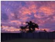 13 Peacock Pl, Marian QLD 4753