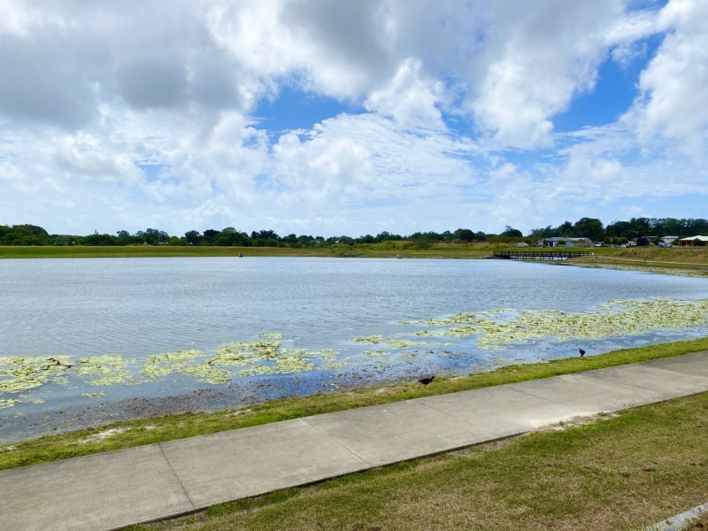 99 Superior Boulevard, Andergrove QLD 4740