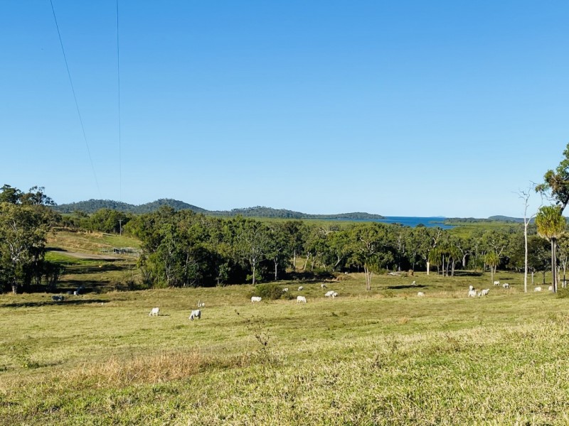 46 Moonlight Drive, Sarina QLD 4737