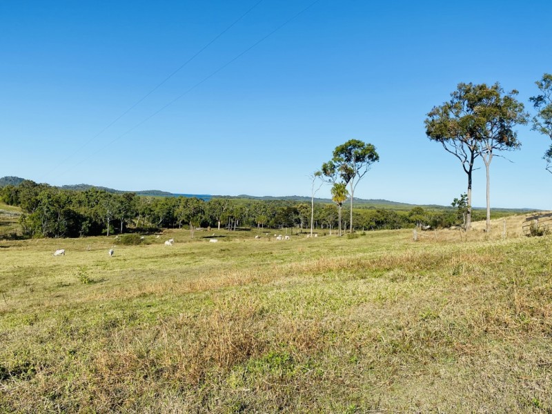 46 Moonlight Drive, Sarina QLD 4737