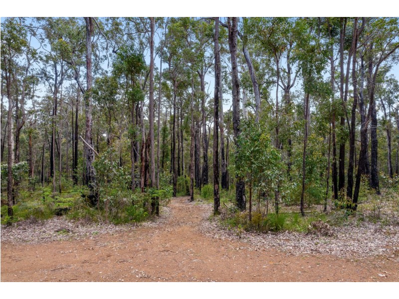 20 Bunya Way, Andergrove QLD 4740