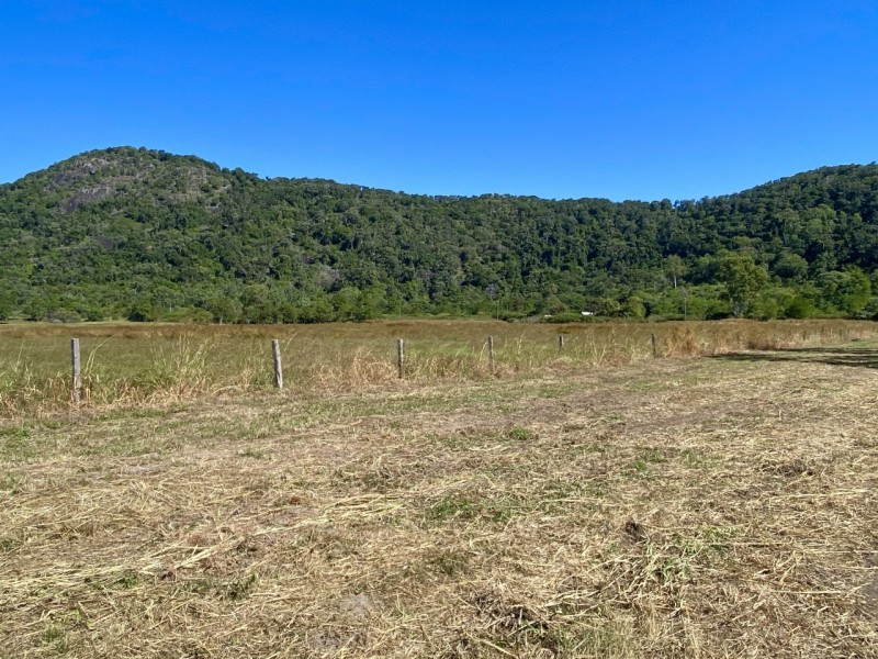 1727 Sarina Homebush Road, Sunnyside QLD 4737