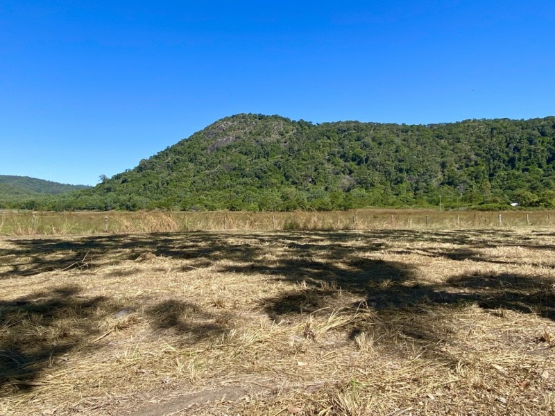 1727 Sarina Homebush Road, Sunnyside QLD 4737