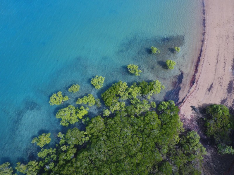 Sarina Beach QLD 4737