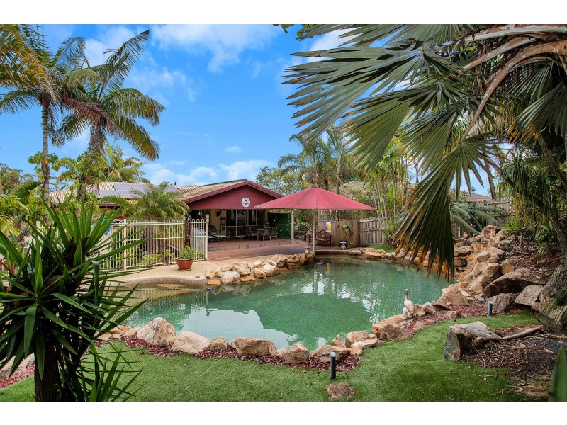 43 Annie Wood Ave, Mount Pleasant QLD 4740