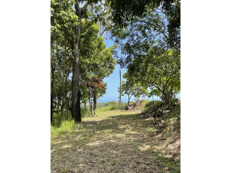 208 Bobongies Road, Habana QLD 4740