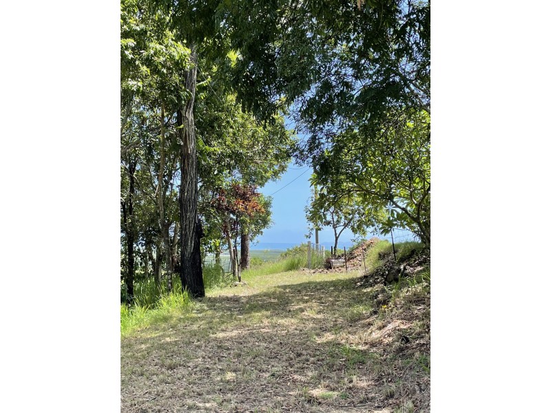 208 Bobongies Road, Habana QLD 4740