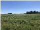 389 Kerimbilla Rd, Goondiwindi QLD 4390