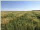 389 Kerimbilla Rd, Goondiwindi QLD 4390