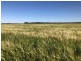 389 Kerimbilla Rd, Goondiwindi QLD 4390