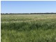 389 Kerimbilla Rd, Goondiwindi QLD 4390