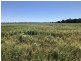 389 Kerimbilla Rd, Goondiwindi QLD 4390
