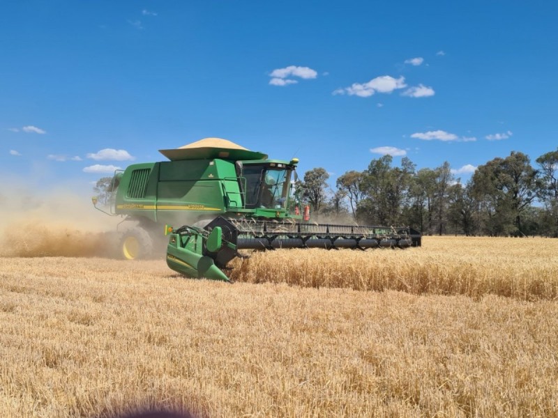 389 Kerimbilla Rd, Goondiwindi QLD 4390