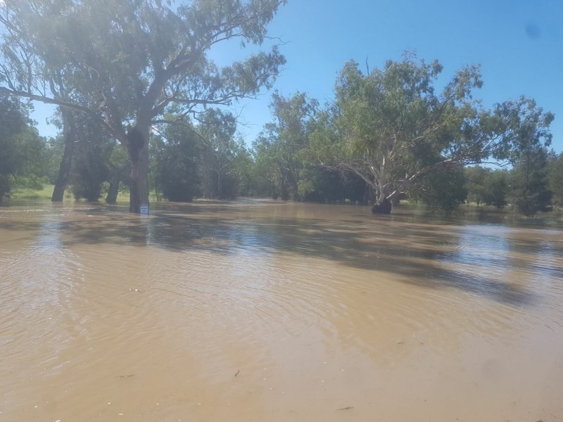 389 Kerimbilla Rd, Goondiwindi QLD 4390