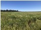 389 Kerimbilla Rd, Goondiwindi QLD 4390