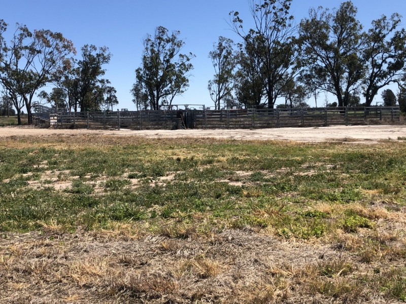 389 Kerimbilla Rd, Goondiwindi QLD 4390