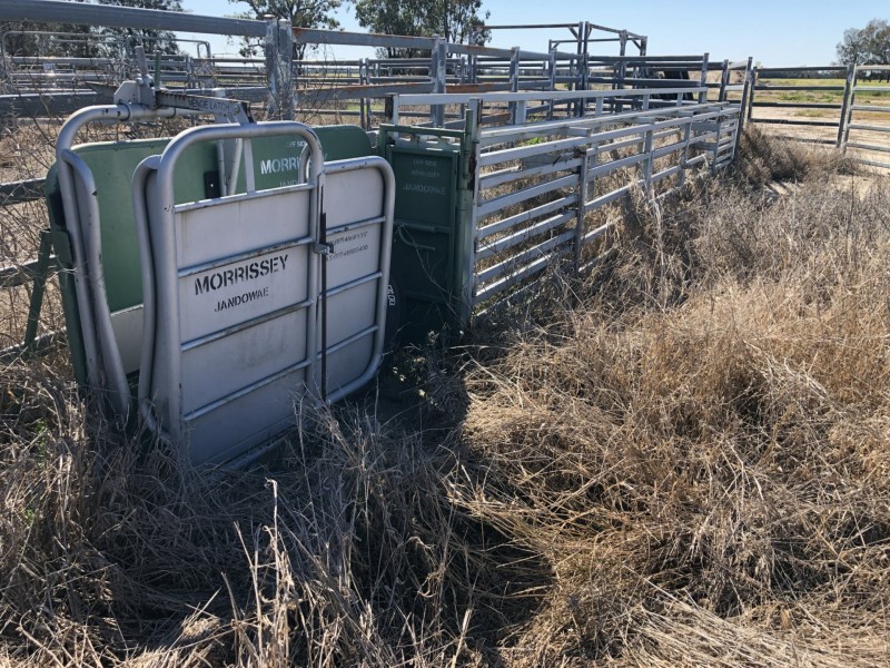 389 Kerimbilla Rd, Goondiwindi QLD 4390