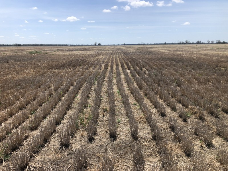389 Kerimbilla Rd, Goondiwindi QLD 4390