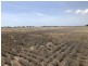 389 Kerimbilla Rd, Goondiwindi QLD 4390