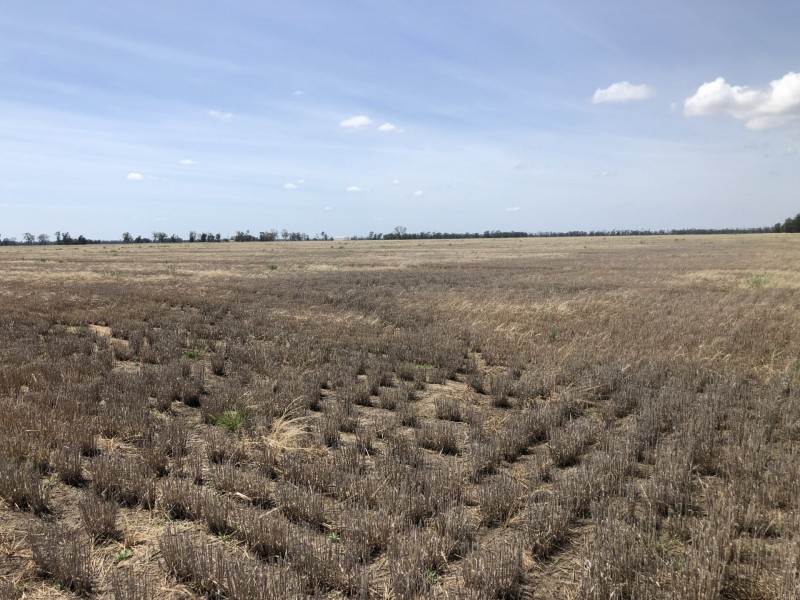 389 Kerimbilla Rd, Goondiwindi QLD 4390