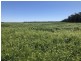 389 Kerimbilla Rd, Goondiwindi QLD 4390