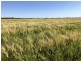 389 Kerimbilla Rd, Goondiwindi QLD 4390