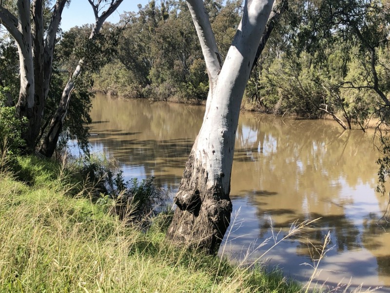 30 Bowen St, Goondiwindi QLD 4390