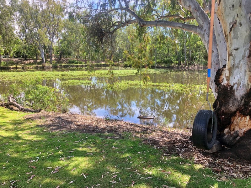 18 Blue Gums Dr, Goondiwindi QLD 4390