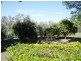 303 Polo Road, Goondiwindi QLD 4390