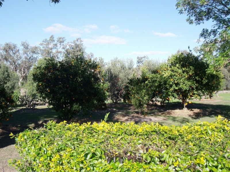 303 Polo Road, Goondiwindi QLD 4390