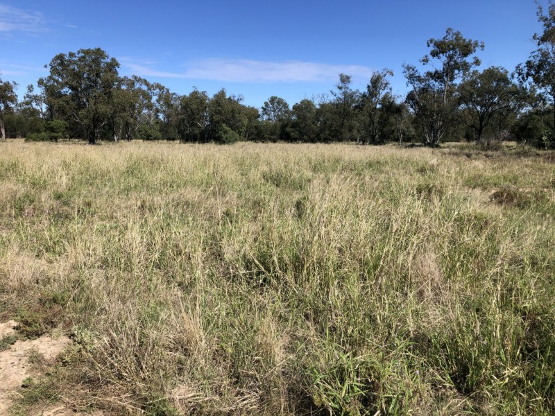 Goondiwindi QLD 4390