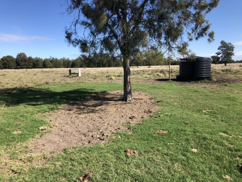Goondiwindi QLD 4390