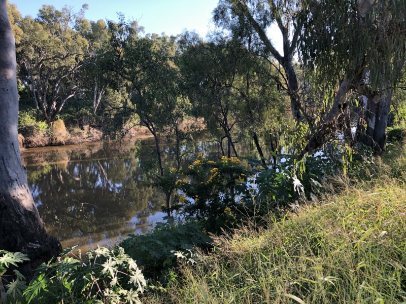 32 Bowen St, Goondiwindi QLD 4390