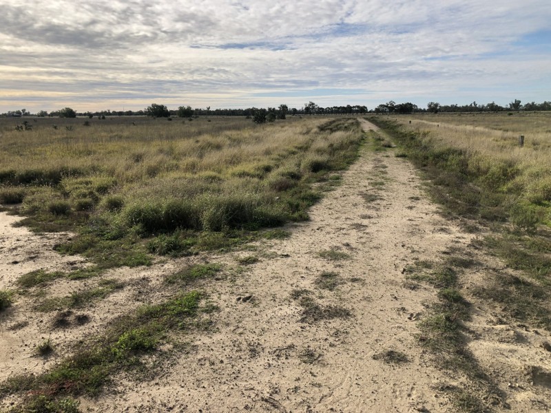 Goondiwindi QLD 4390