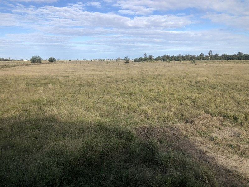 Goondiwindi QLD 4390