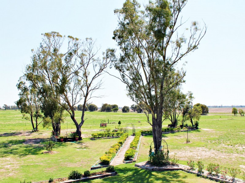 Goondiwindi QLD 4390