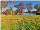 2 Malibu Dr, Goondiwindi QLD 4390