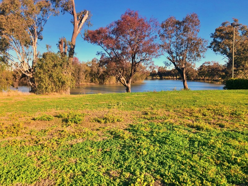2 Malibu Dr, Goondiwindi QLD 4390