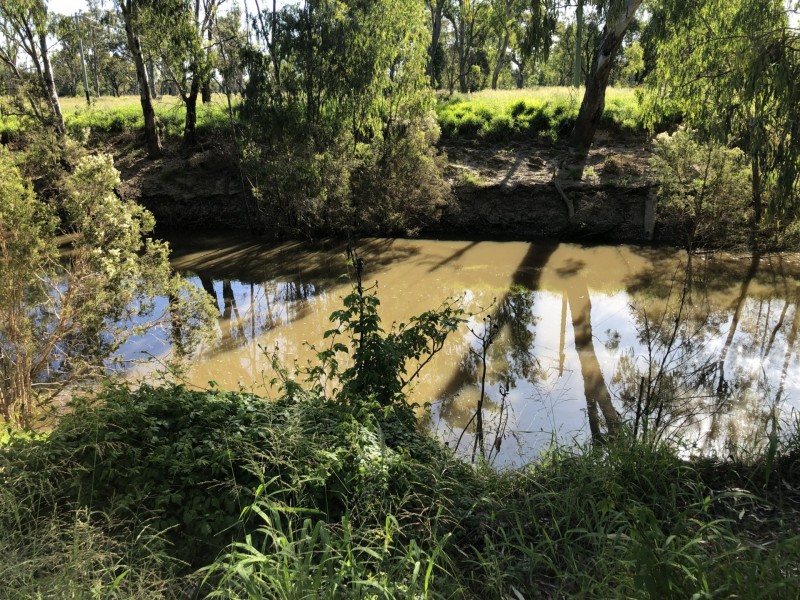 21 Riverview Tce, Goondiwindi QLD 4390