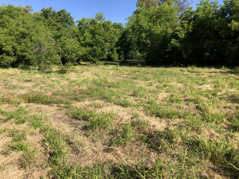 21 Riverview Tce, Goondiwindi QLD 4390