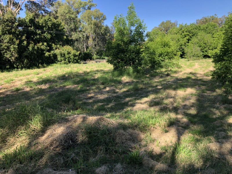 21 Riverview Tce, Goondiwindi QLD 4390