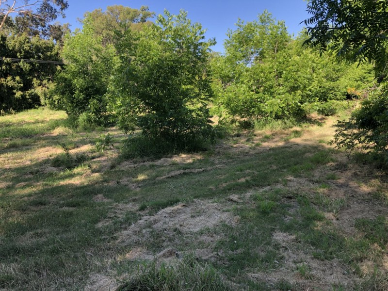 21 Riverview Tce, Goondiwindi QLD 4390