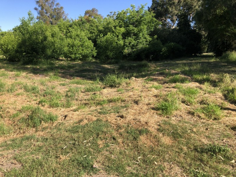 21 Riverview Tce, Goondiwindi QLD 4390