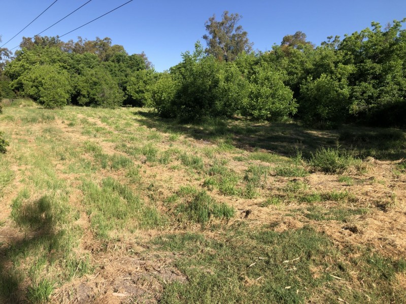 21 Riverview Tce, Goondiwindi QLD 4390