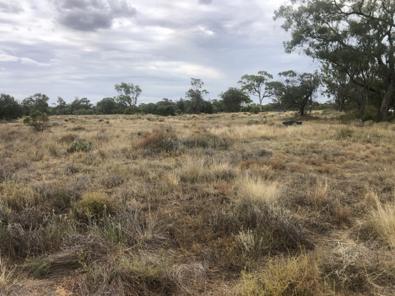 83 Boonangar Rd, Boomi NSW 2405